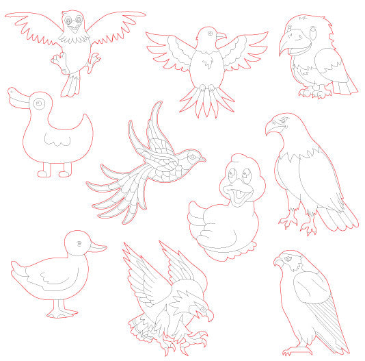 Pre-Marked Design Bird Cartoon Drawing